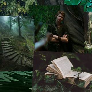 Peter Pan OUAT wallpaper