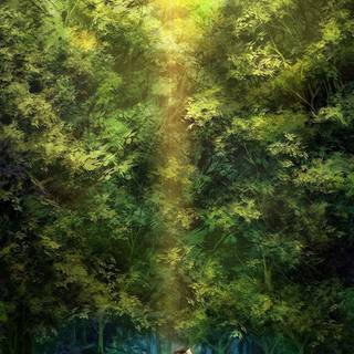 Anime woods wallpaper