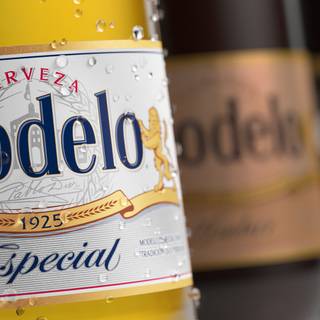Modelo beer wallpaper