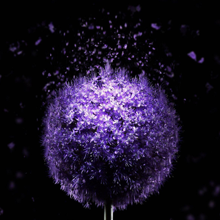 Amoled 4k phone wallpaper