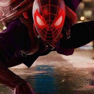 Miles Morales Prowler wallpaper