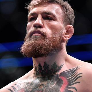Conor McGregor 4K wallpaper