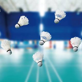 Badminton 4k wallpaper