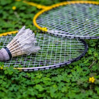 Badminton 4k wallpaper