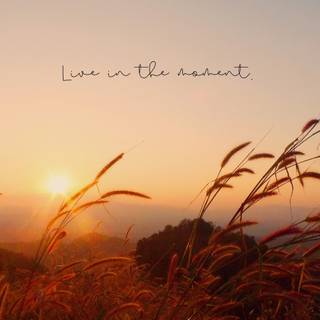 Summer quotes desktop wallpaper