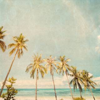 Beach summer vintage wallpaper