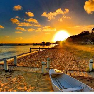 Summer quotes desktop wallpaper