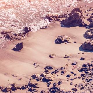 Summer iPhone 12 wallpaper