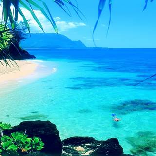 Beach summer vintage wallpaper