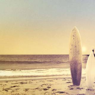 Beach summer vintage wallpaper