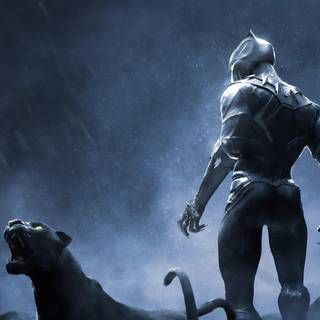 Black Panther 4k HD wallpaper