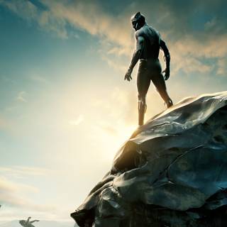 Black Panther 4k HD wallpaper