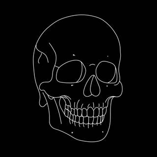 4k skeleton wallpaper