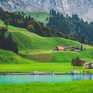 Green nature 4k wallpaper