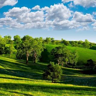 Green nature 4k wallpaper