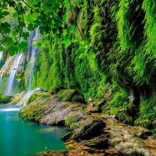 Green nature 4k wallpaper