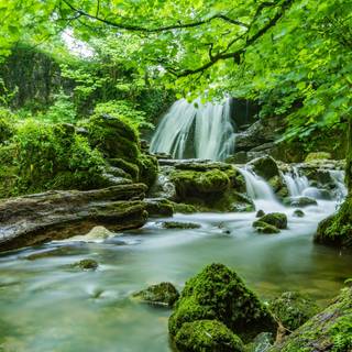 Green nature 4k wallpaper