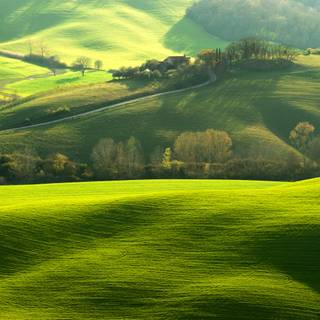 Green nature 4k wallpaper