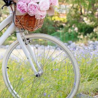 Bike spring aesthetic wallpaper