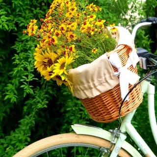 Bike spring aesthetic wallpaper