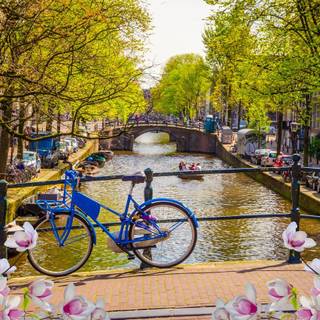 Bike spring aesthetic wallpaper