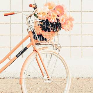 Bike spring aesthetic wallpaper