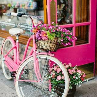 Bike spring aesthetic wallpaper