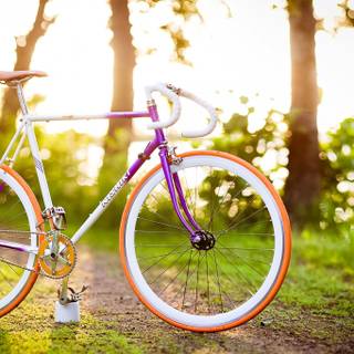 Bike spring aesthetic wallpaper