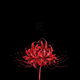 Red aesthetic Tokyo Ghoul wallpaper