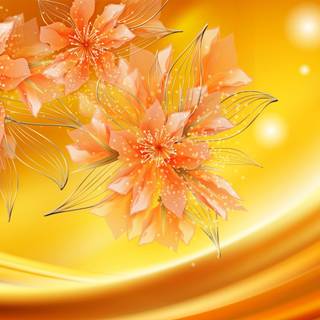 Flower colors wallpaper