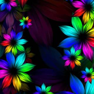 Flower colors wallpaper