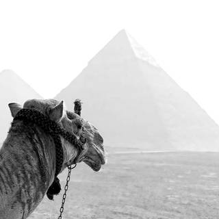 Ancient 4k wallpaper