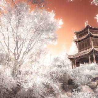 Ancient 4k wallpaper