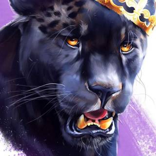 Cute animals iPhone HD 4k wallpaper