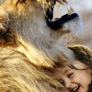 Cute animals iPhone HD 4k wallpaper