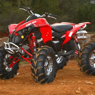 Can Am Renegade XMR 1000 wallpaper