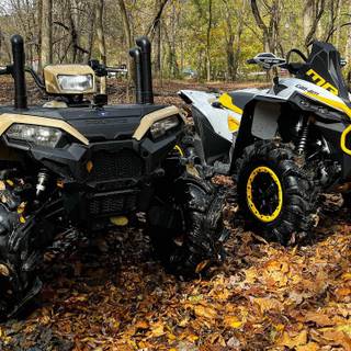 Can Am Renegade XMR 1000 wallpaper