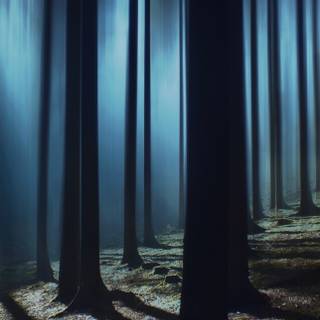 Scary shadow wallpaper