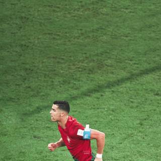 Cristiano Ronaldo World Cup wallpaper