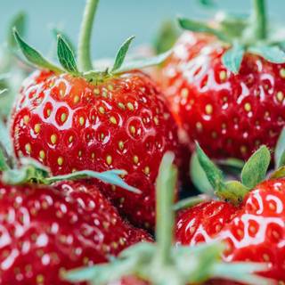 Strawberry 4k wallpaper