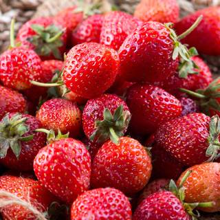 Strawberry 4k wallpaper