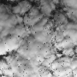 iPhone black clouds wallpaper