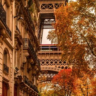Paris autumn wallpaper