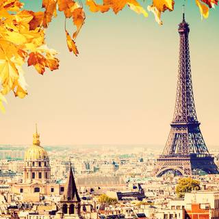 Paris autumn wallpaper
