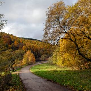 England autumn wallpaper