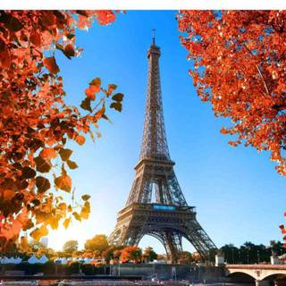 Paris autumn wallpaper