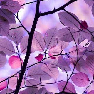 Purple autumn wallpaper