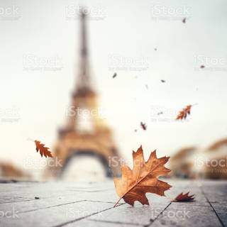 Paris autumn wallpaper