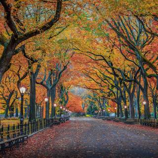 Autumn USA wallpaper