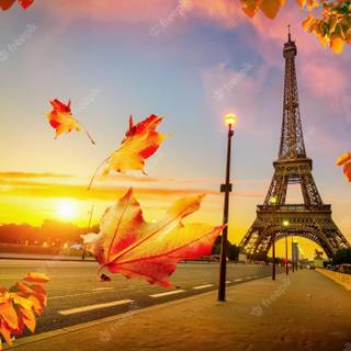 Paris autumn wallpaper